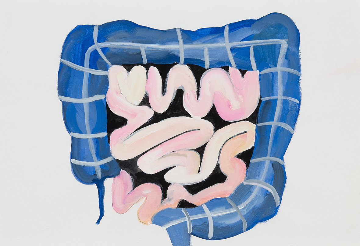 El segundo cerebro